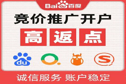 SEM托管公司案例：优化与增长